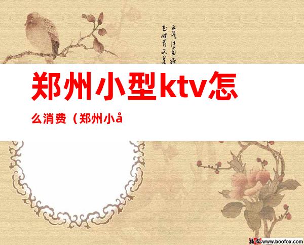 郑州小型ktv怎么消费(郑州小型ktv怎么消费的)