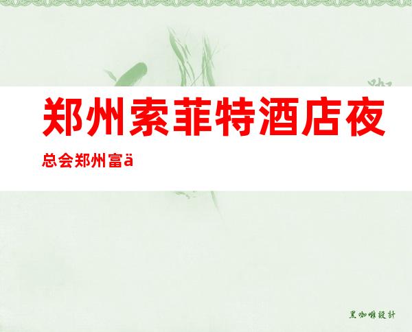 郑州索菲特酒店夜总会郑州富人独享夜总会之一