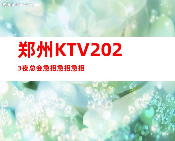 郑州KTV2023夜总会急招急招急招(说三遍)