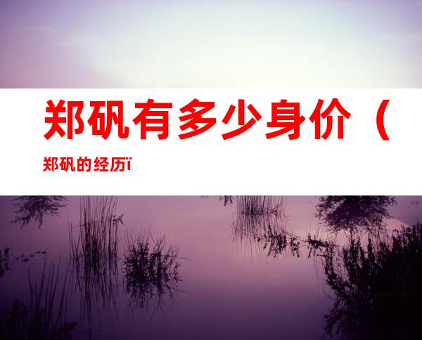 郑矾有多少身价(郑矾的经历)