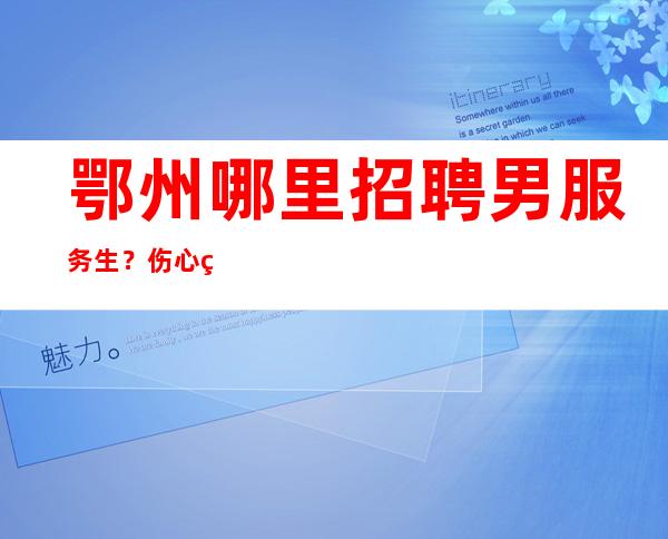 鄂州哪里招聘男服务生？伤心的时候就去看看周边人幸福的时光