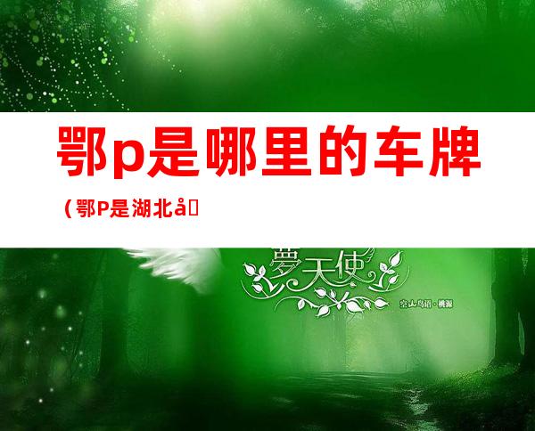 鄂p是哪里的车牌(鄂P是湖北哪里的车牌号码)