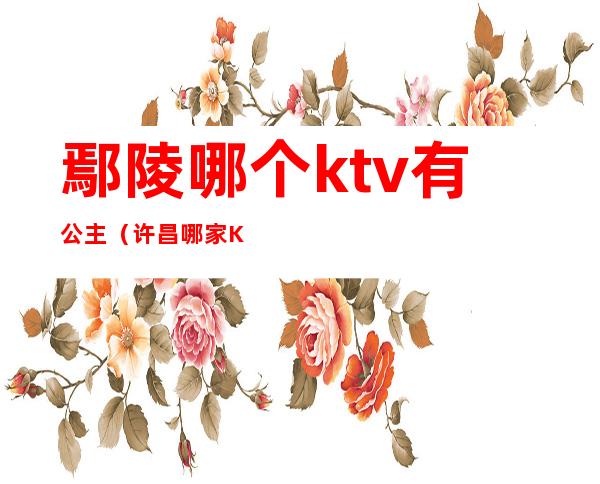 鄢陵哪个ktv有公主(许昌哪家KTV有公主)