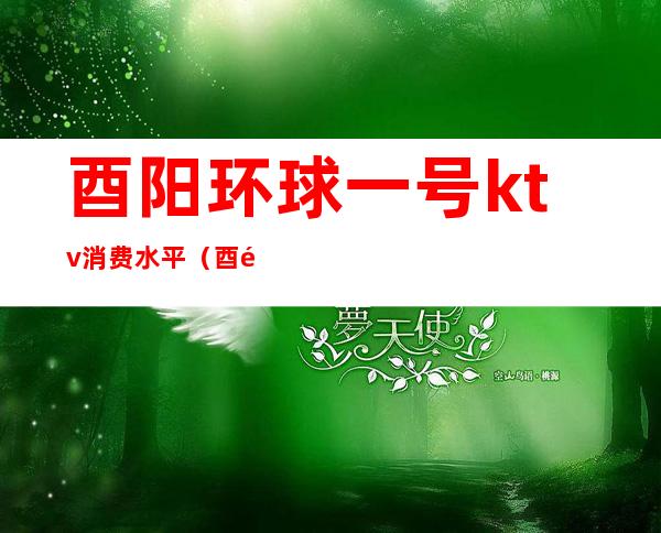 酉阳环球一号ktv消费水平(酉阳ktv有哪些)