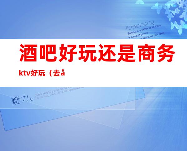 酒吧好玩还是商务ktv好玩(去商务ktv上班好还是酒吧好)