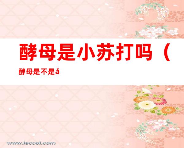 酵母是小苏打吗(酵母是不是就是小苏打)