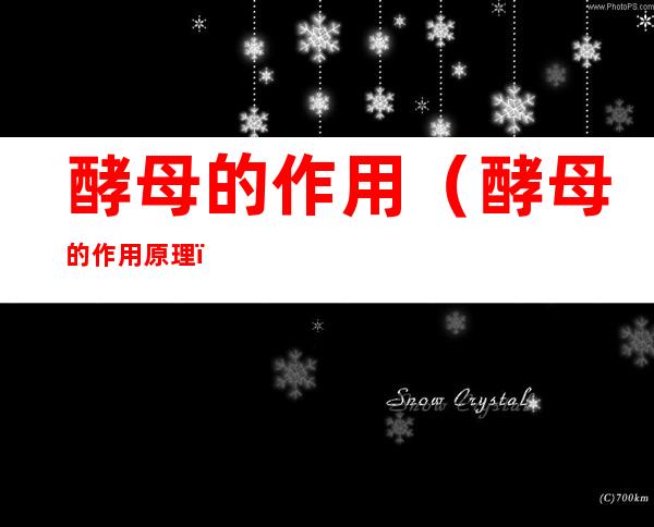酵母的作用(酵母的作用原理)