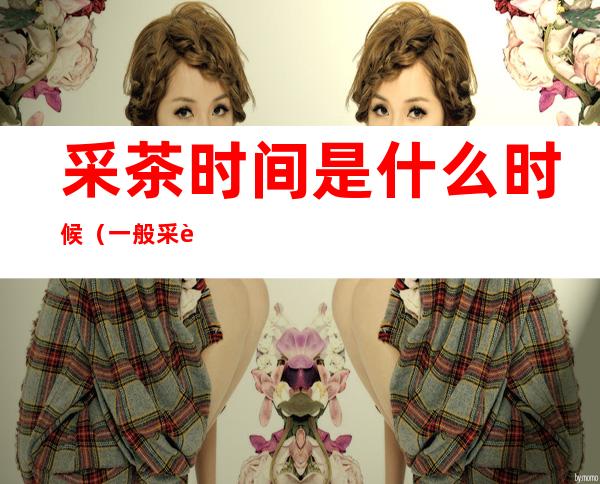 采茶时间是什么时候(一般采茶都是在什么时候)