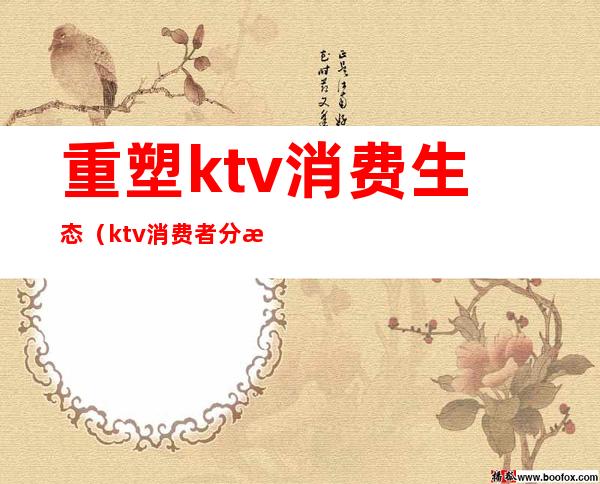 重塑ktv消费生态(ktv消费者分析)