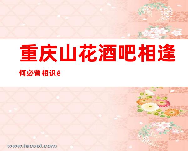 重庆山花酒吧相逢何必曾相识重庆知名高档次酒吧一览排名