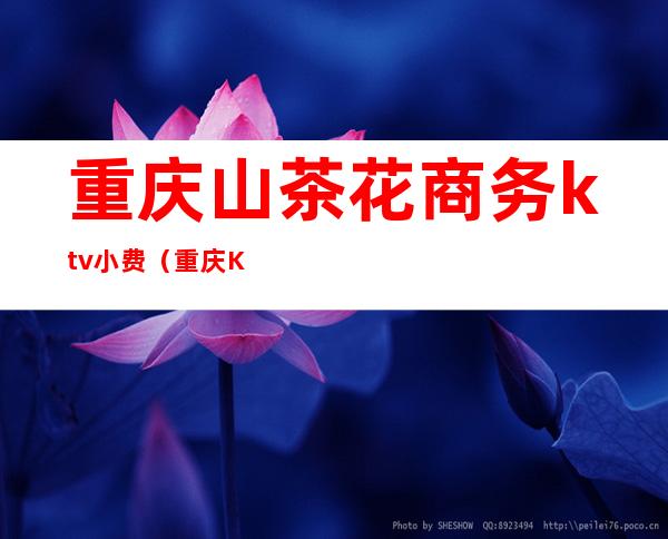 重庆山茶花商务ktv小费(重庆KTV小费)