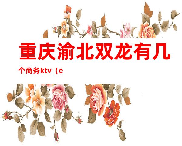 重庆渝北双龙有几个商务ktv(重庆市渝北区双龙湖街道)