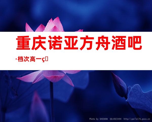 重庆诺亚方舟酒吧·档次高一直被客人当作尊贵身份的象征