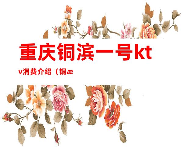 重庆铜滨一号ktv消费介绍(铜滨壹号ktv招聘)