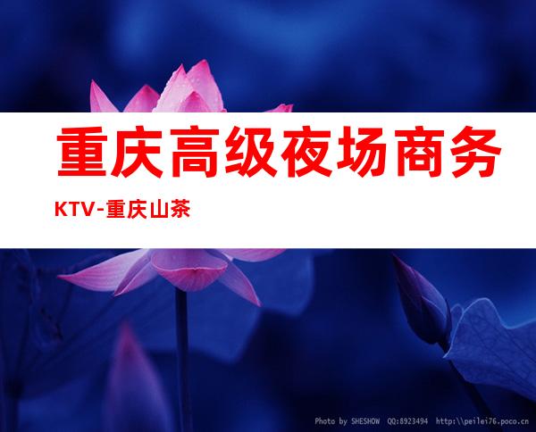 重庆高级夜场商务KTV-重庆山茶花ktv夜总会值得一去！