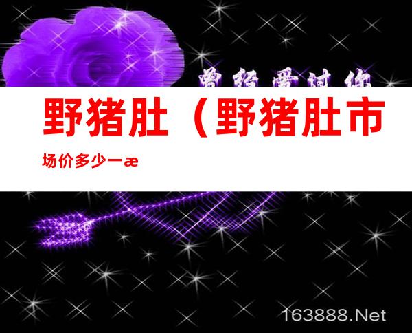 野猪肚(野猪肚市场价多少一斤)