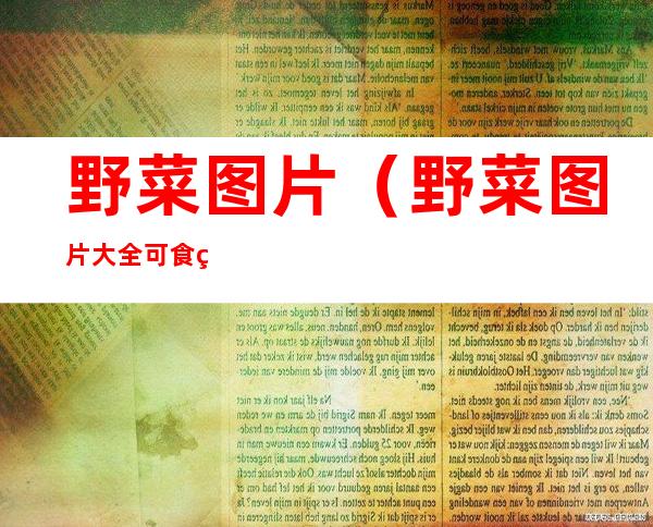 野菜图片(野菜图片大全 可食用)