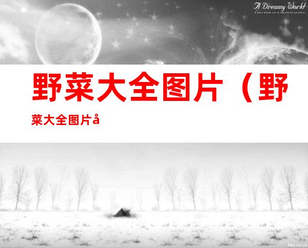 野菜大全图片(野菜大全图片及名称)