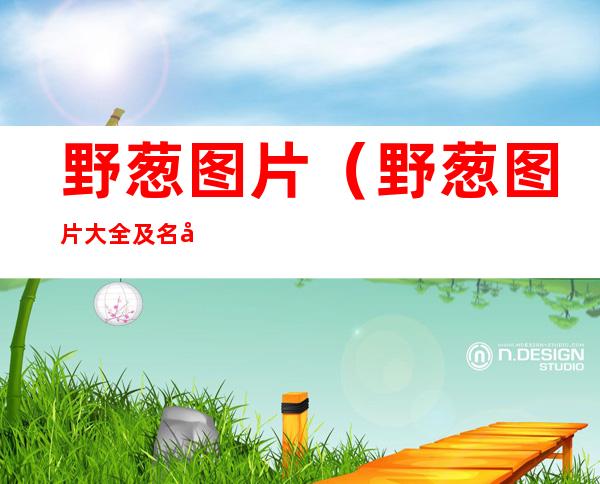 野葱图片(野葱图片大全及名字 图库)