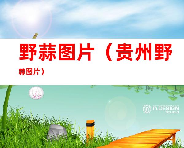 野蒜图片（贵州野蒜图片）