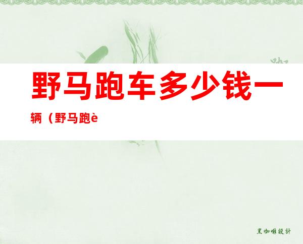野马跑车多少钱一辆(野马跑车多少钱一辆?)
