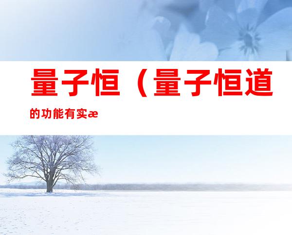 量子恒(量子恒道的功能有实时数据)
