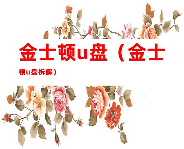 金士顿u盘（金士顿u盘拆解）