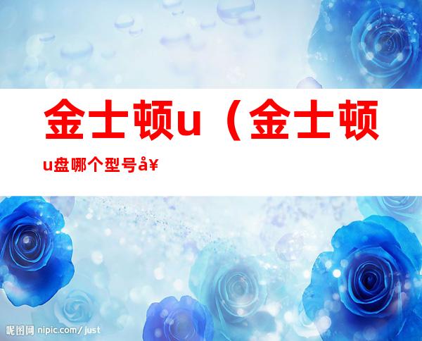 金士顿u(金士顿u盘哪个型号好)