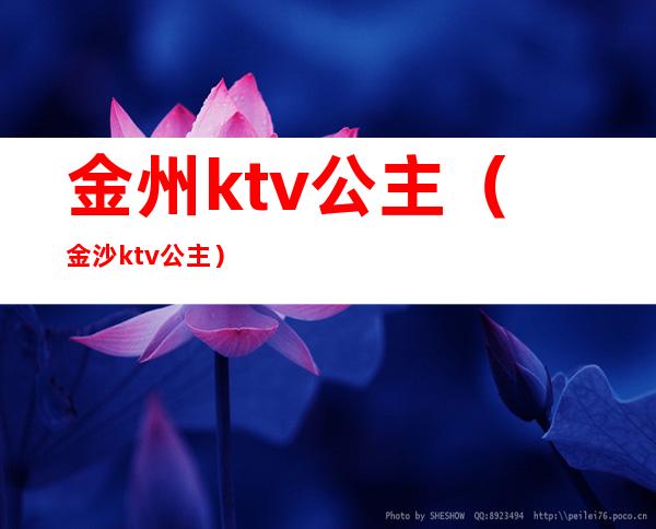金州ktv公主(金沙ktv公主)