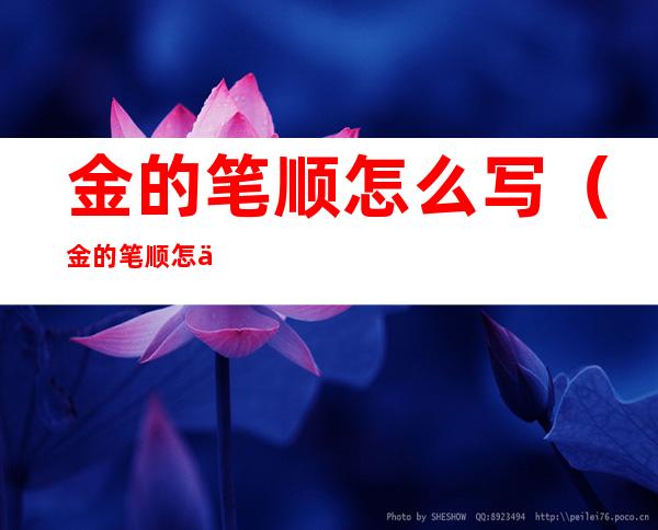 金的笔顺怎么写(金的笔顺怎么说)