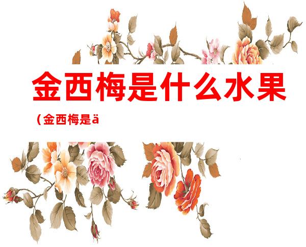 金西梅是什么水果(金西梅是什么水果类型)