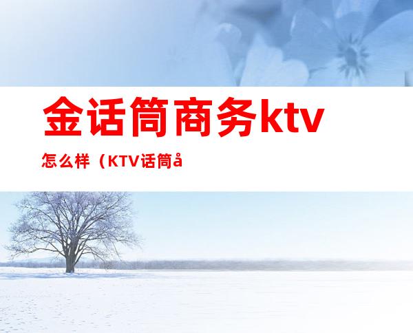 金话筒商务ktv怎么样(KTV话筒多少钱)