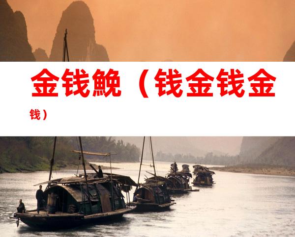 金钱鮸(钱金钱金钱)