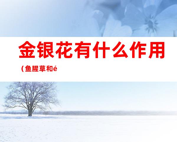 金银花有什么作用（鱼腥草和金银花有什么作用）