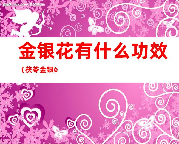 金银花有什么功效(茯苓金银花有什么功效)