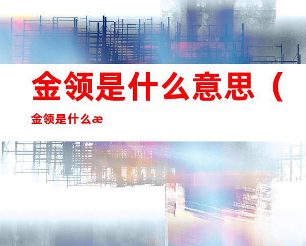 金领是什么意思(金领是什么意思呢)