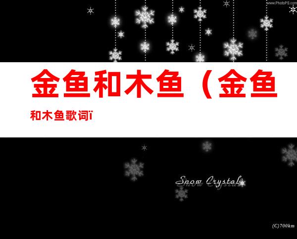 金鱼和木鱼（金鱼和木鱼歌词）