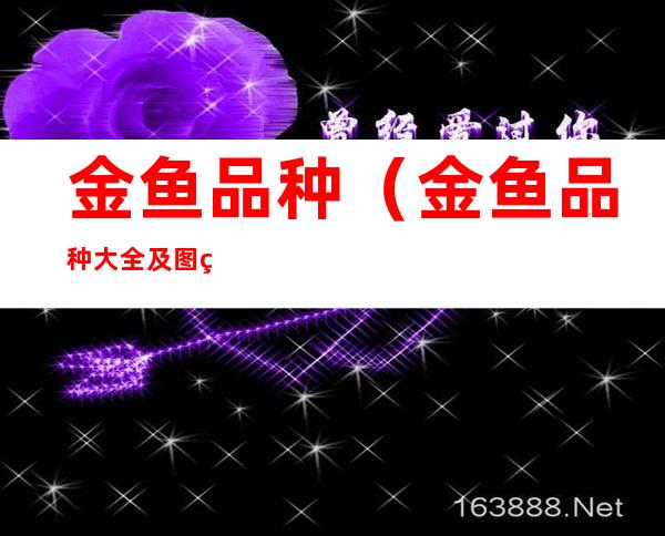 金鱼品种(金鱼品种大全及图片)