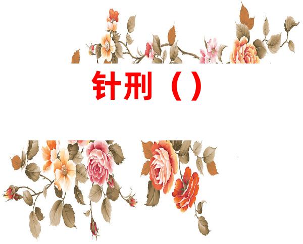 针刑()