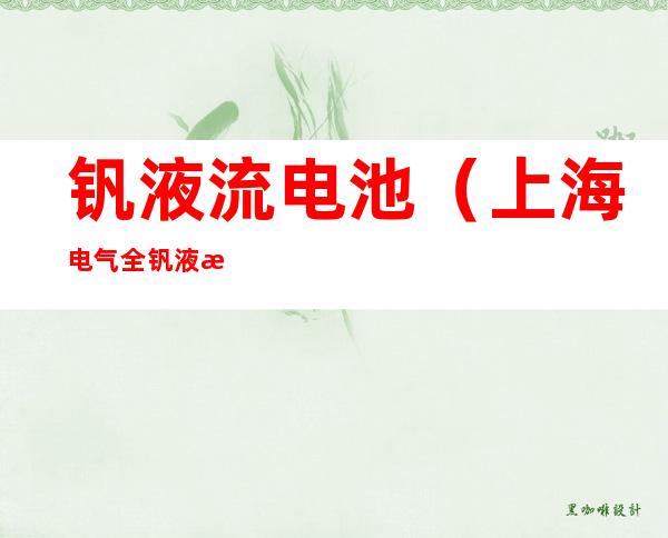 钒液流电池(上海电气全钒液流电池)