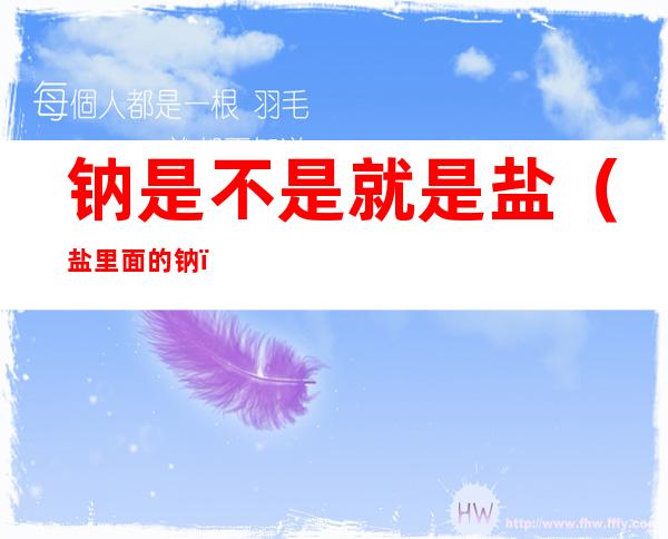 钠是不是就是盐(盐里面的钠)