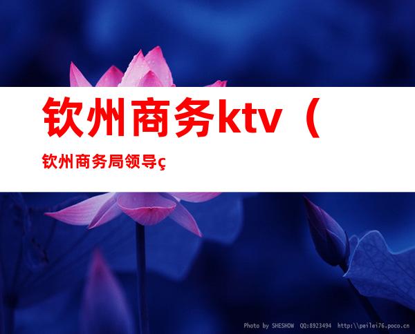 钦州商务ktv（钦州商务局领导班子）