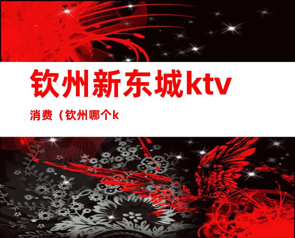 钦州新东城ktv消费(钦州哪个ktv比较好)