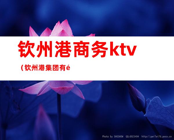 钦州港商务ktv(钦州港集团有限公司)