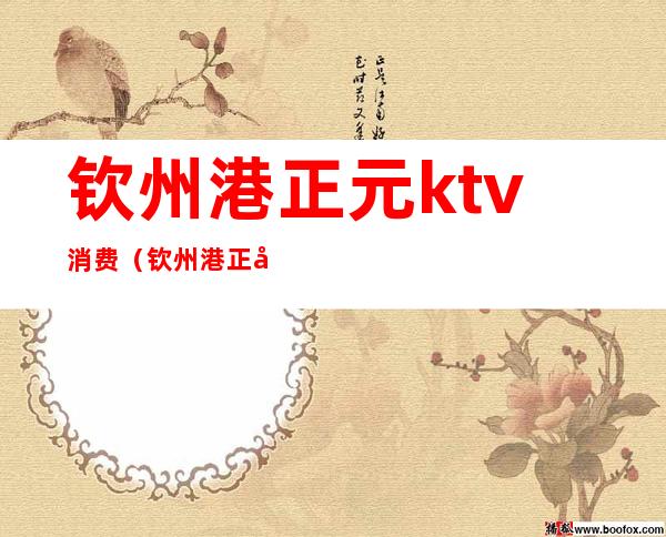 钦州港正元ktv消费（钦州港正元ktv消费怎么样）