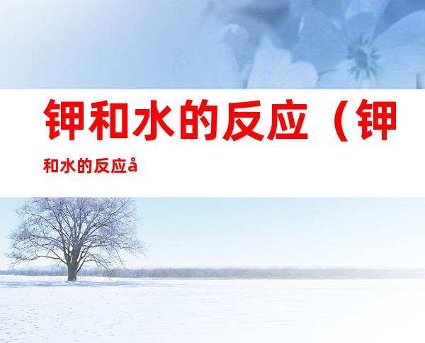 钾和水的反应（钾和水的反应和钠和水的反应相同点）