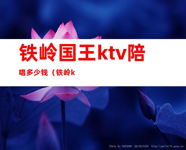 铁岭国王ktv陪唱多少钱（铁岭ktv哪家有陪唱的）