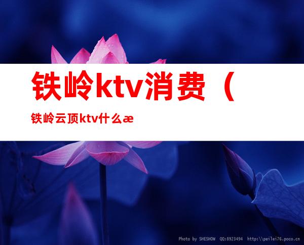 铁岭ktv消费(铁岭云顶ktv什么消费)