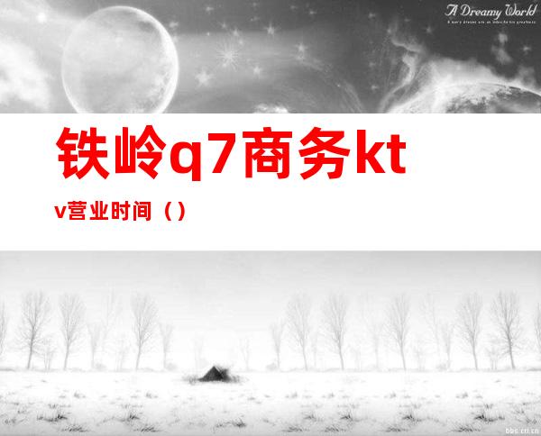 铁岭q7商务ktv营业时间()