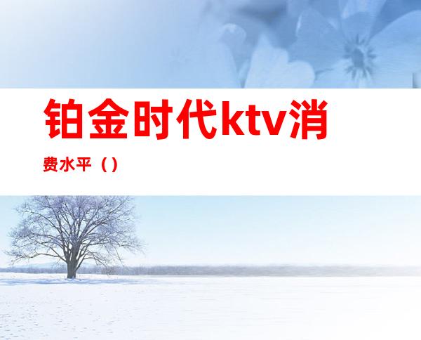 铂金时代ktv消费水平()